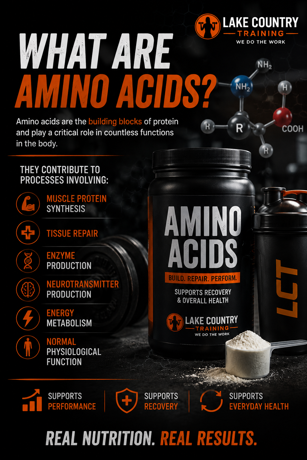 What are amino acids? Lake Country Training explains how amino acids support muscle protein synthesis, tissue repair, enzyme production, energy metabolism, and normal body function.
